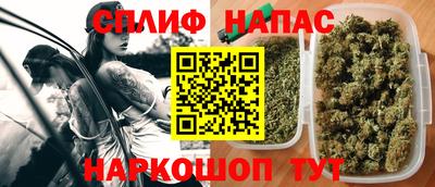 индика Жуковский
