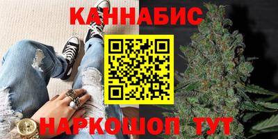 индика Жуковский