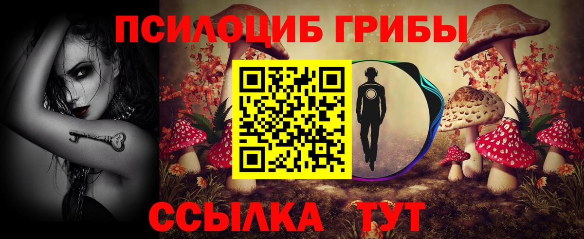 Псилоцибиновые грибы Cubensis Мирный